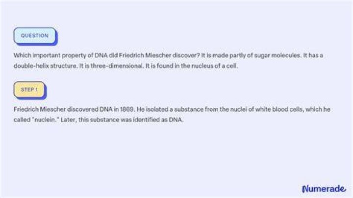 Which important property of DNA did Friedrich?