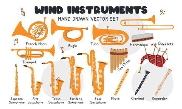 Which instrument is classified as Aerophone?