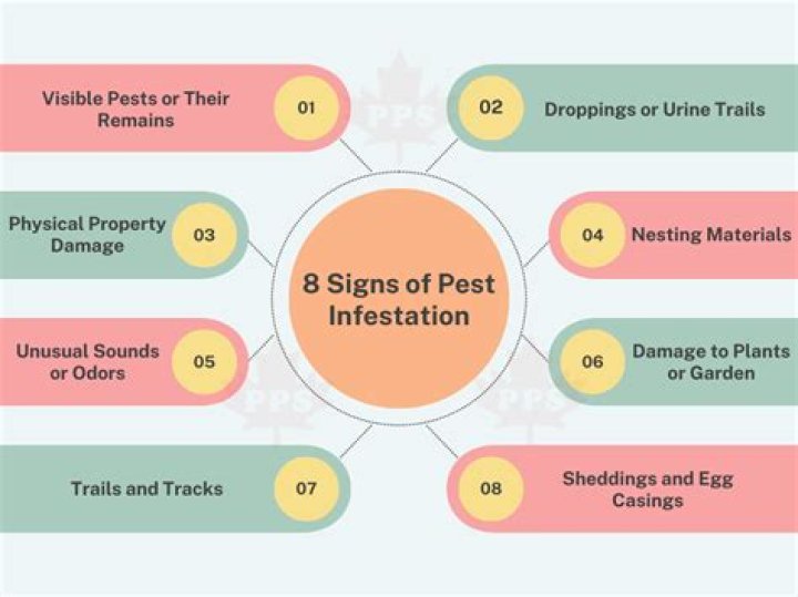 Which method is the best for the prevention of pest infestations?