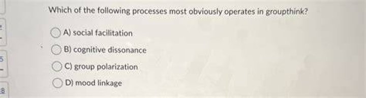 Which of the following processes most obviously operates in groupthink?