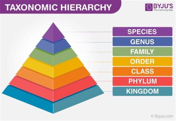 Which taxonomic group is the most inclusive?