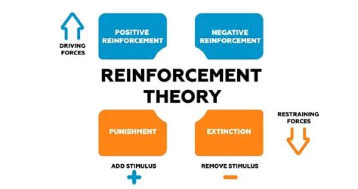 Who developed differential reinforcement theory?