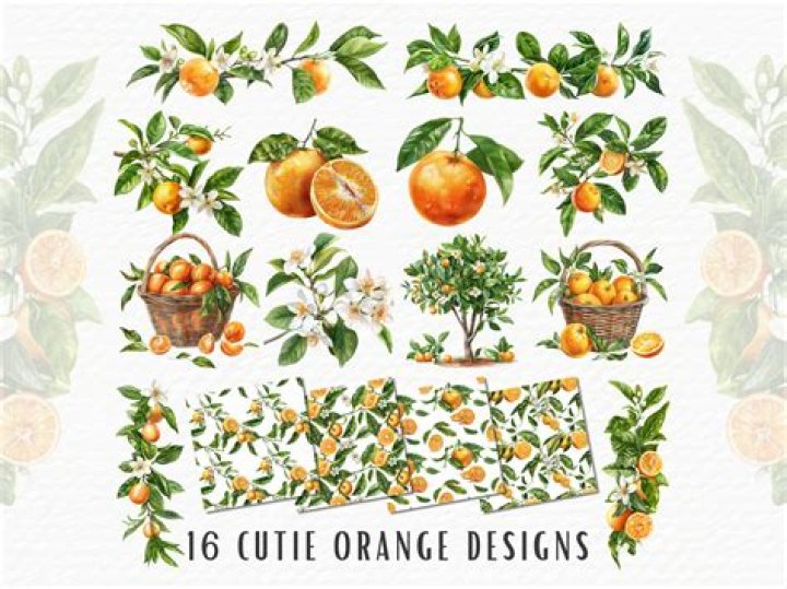 Who invented the cutie orange?