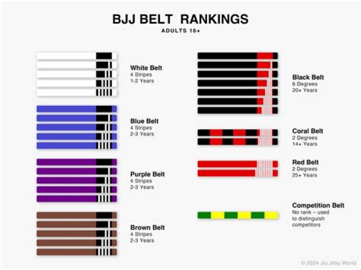 Who is the youngest Jiu Jitsu black belt?