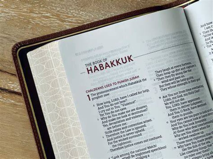 Who wrote the book of Habakkuk in the Bible?