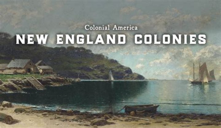 Why did New England colonies fish?