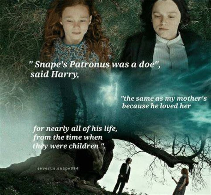 why did snape and lily have the same patronus?