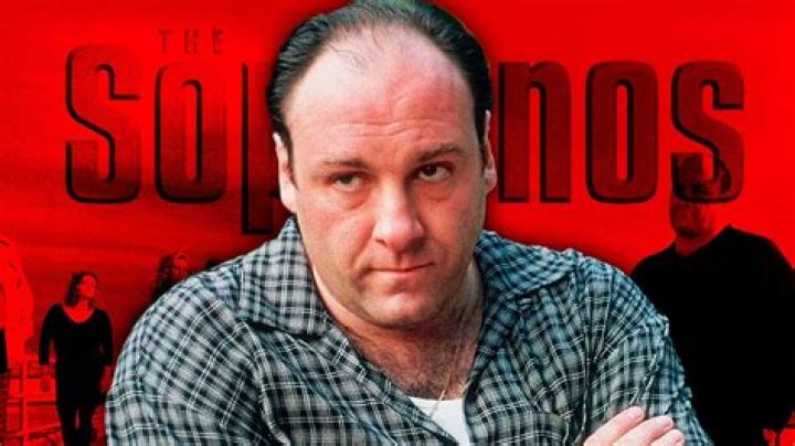 Why did Tony kill Chris in The Sopranos?