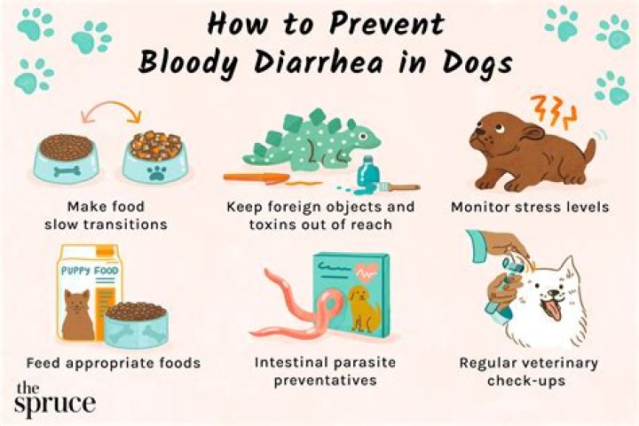 Why do Tacos give me diarrhea?