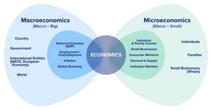 Why do you think macroeconomics focus on just a few key statistics?