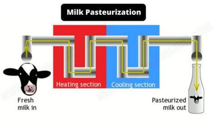 Why does pasteurized milk eventually spoil quizlet?