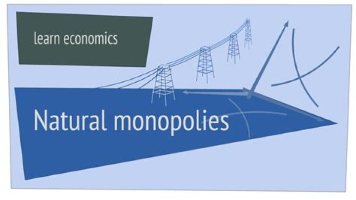 Why does the government usually approve natural monopolies?
