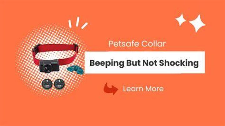 Why is my PetSafe collar not beeping?