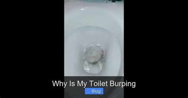 Why is my toilet burping?