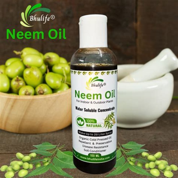 Why is Neem oil banned in UK?