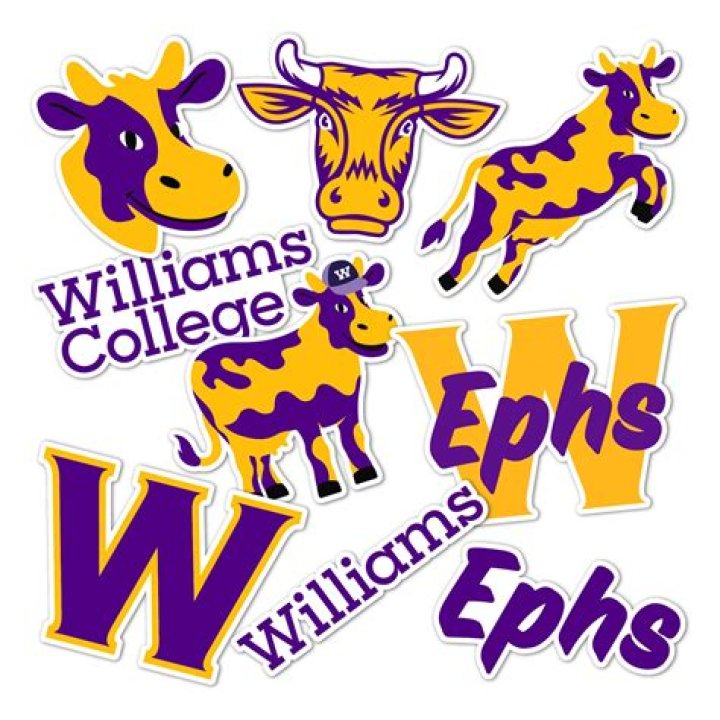 Why is Williams College mascot a purple cow?