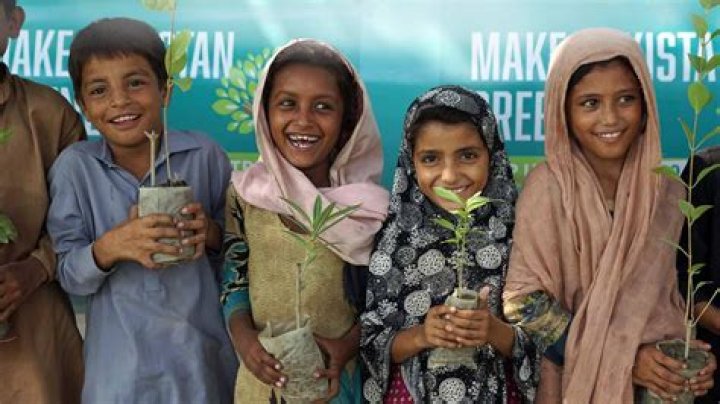 Why Muslims give green packets?