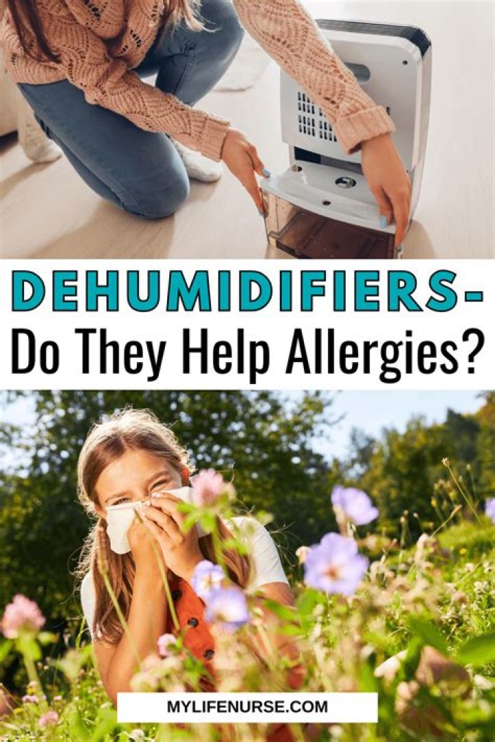 Will a dehumidifier help my allergies?