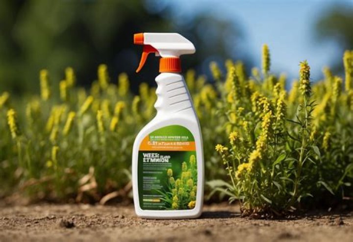 Will Clorox kill weeds and grass?