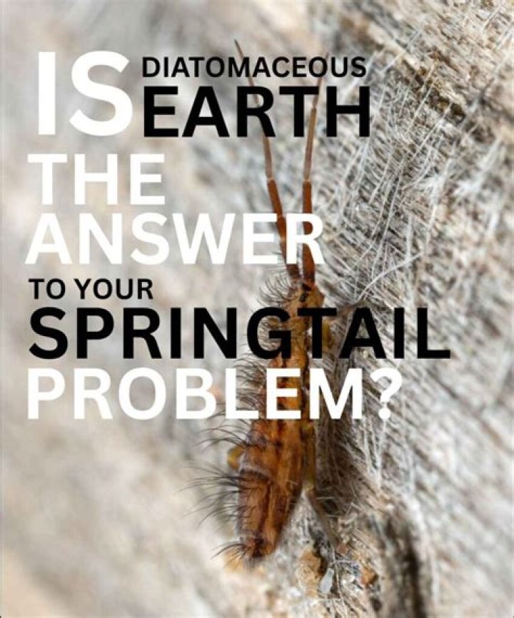 Will diatomaceous earth kill springtails?