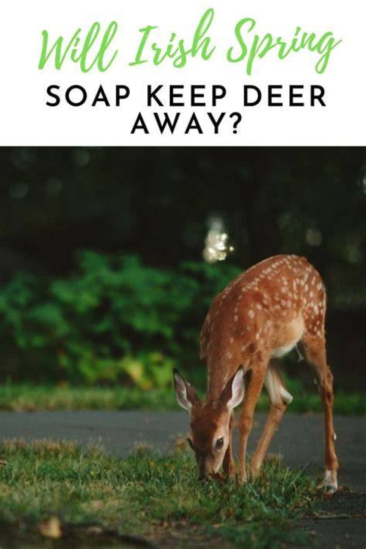 Will Irish Spring soap keep deer away?