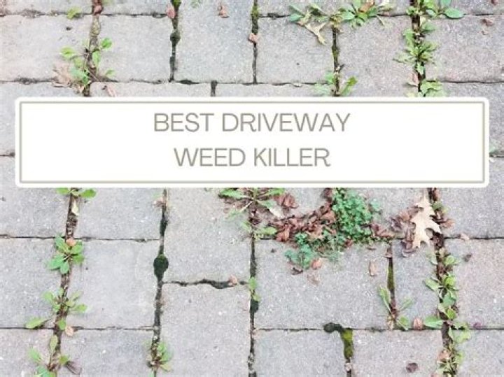 Will rock salt kill weeds in gravel driveway?
