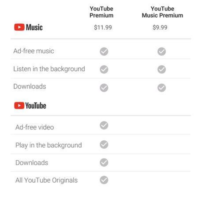 youtube premium price india?